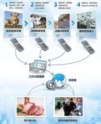 為何需要建設(shè)動物溯源信息化管理系統(tǒng)及信息技術(shù)咨詢服務(wù)的價值